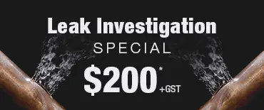 Leak Investigation Discount Castor Bay