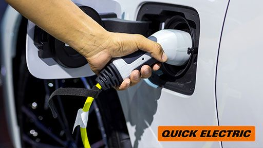 Fast, One Time Service In Castor Bay